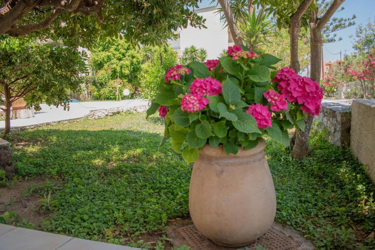 Evdokia Αpartments & Dimitra Village Agia Marina  Ngoại thất bức ảnh
