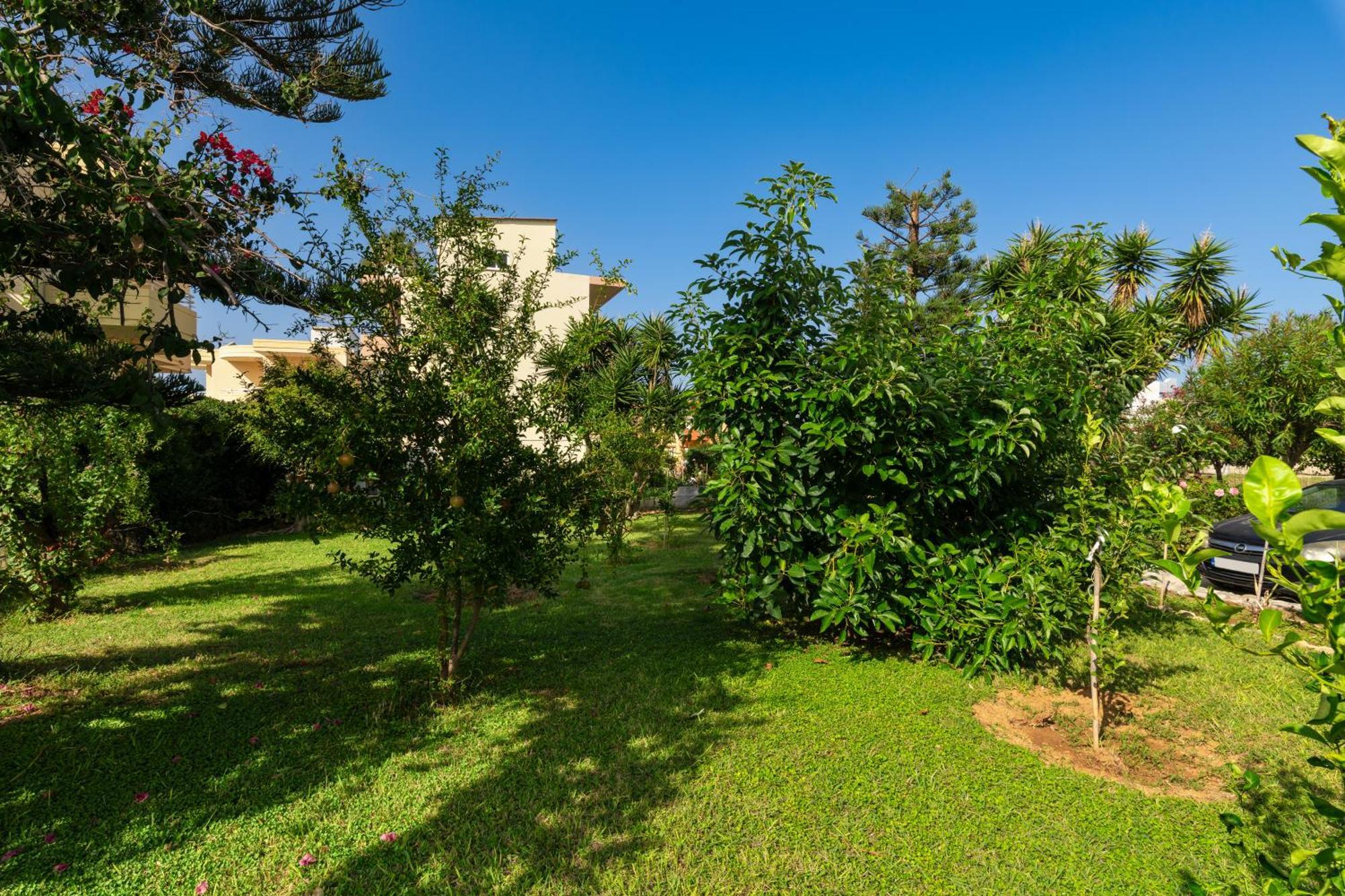 Evdokia Αpartments & Dimitra Village Agia Marina  Ngoại thất bức ảnh
